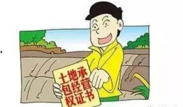 农村纠纷爆料案例范文最新,从矛盾爆发到和谐解决