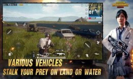 pubg国际服最新圣装爆料,神秘新装即将亮相，玩家期待值飙升！
