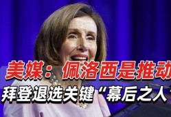 佩洛西被爆料最新消息,揭秘国会山事件背后真相