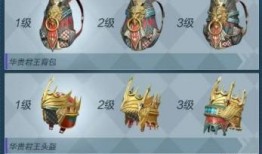 新军需爆料最新内容,揭秘神秘装备，未来战场新动向