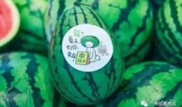 古茗新瓜最新爆料,揭秘神秘新品背后的故事